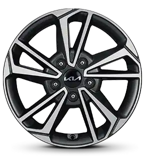 16-inch 205/55 R16 Alloy Wheel</br>Dark Metal Gray